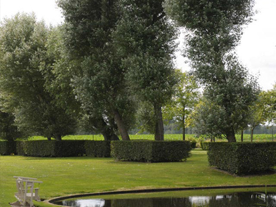 landscape architect country garden Ostend