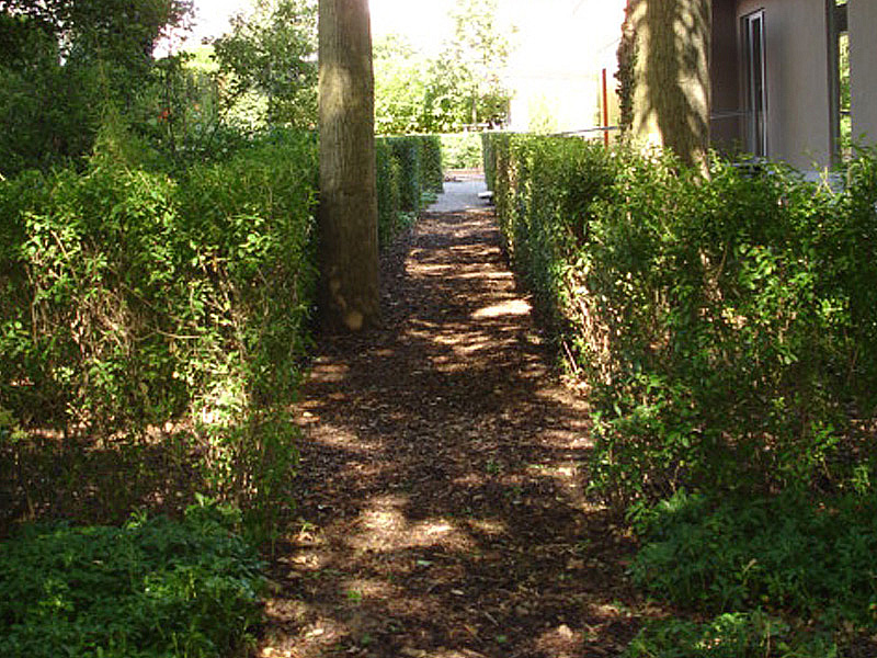 landscape architect forest garden Ostend