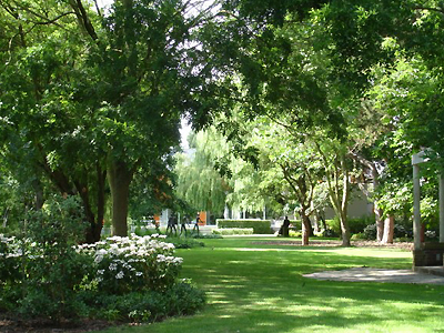 landscape architect forest garden Ostend