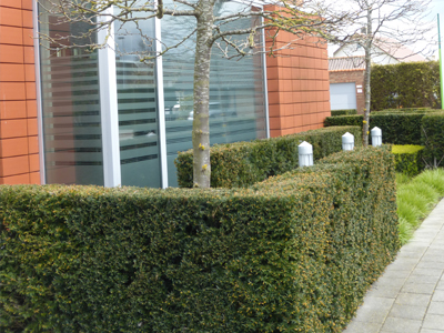 landscape architect office park Crelan Belgium
